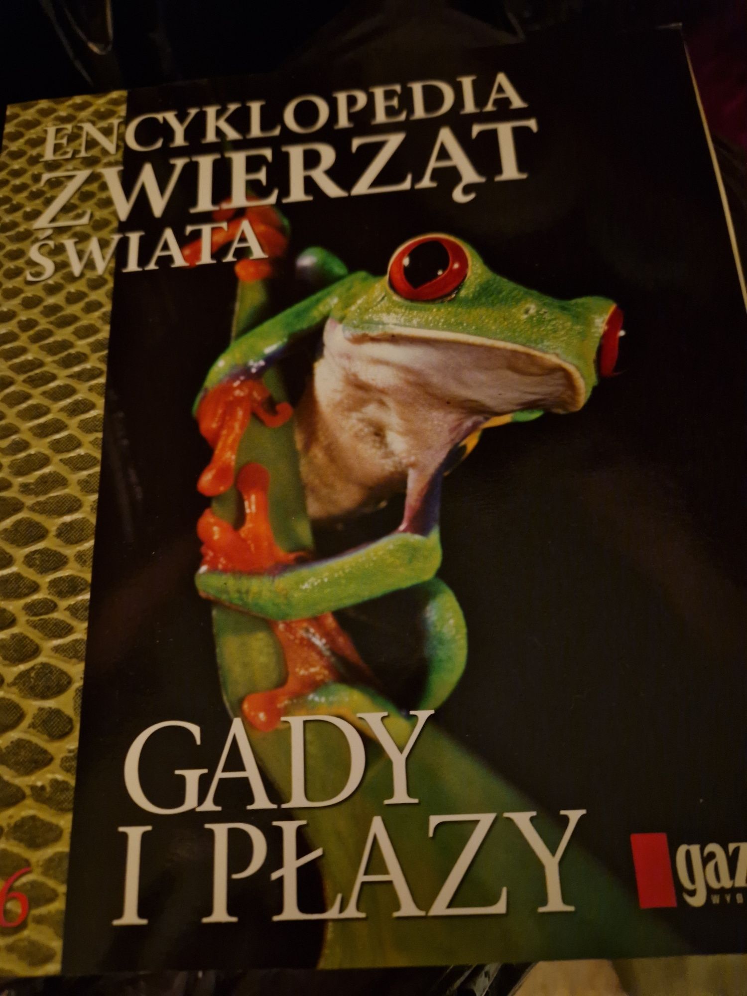 Książka Encyklopedia zwierząt świata gady i płazy