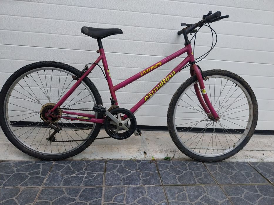 Bicicleta esmaltina
