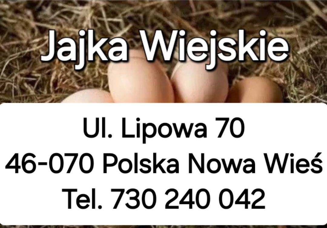 Jajka wiejskie, wolny wybieg, ekologiczne BIO. Rozmiar L.