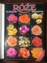 Róże Encyklopedia fotograficzna Róże
