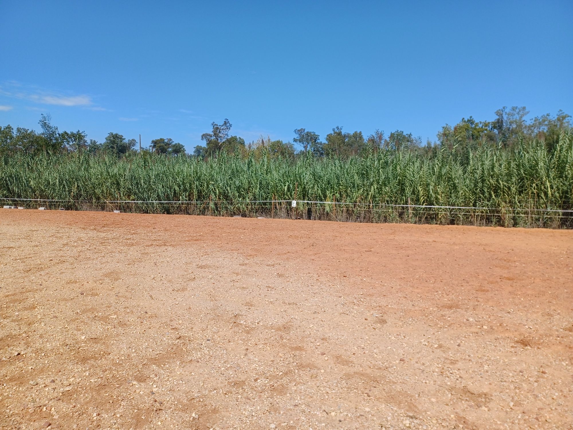 Terreno com 5.000m2 dentro da cidade de Coimbra