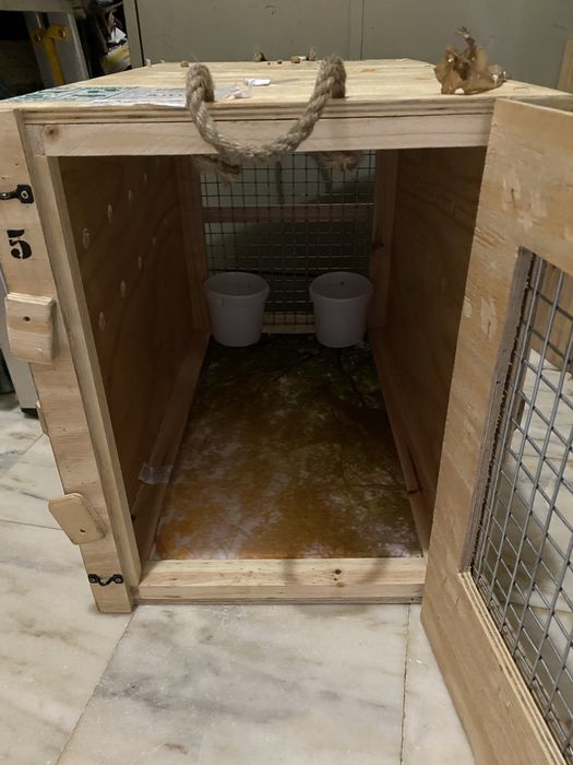 Caixa para transporte de cao ou gato