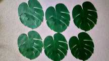 Liscie monstera 6szt