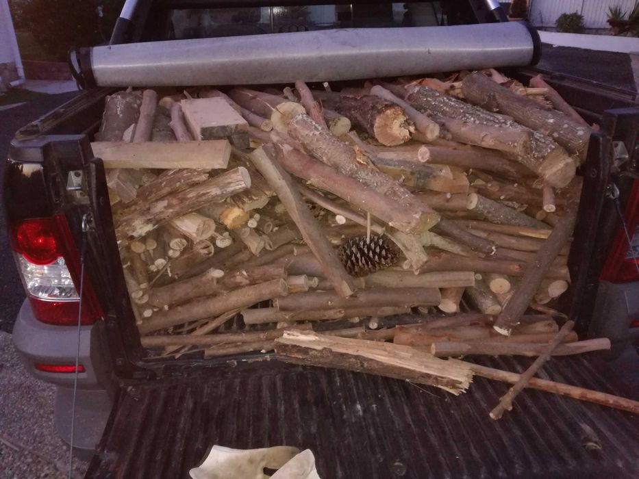 Lenha seca para lareira e salamandra