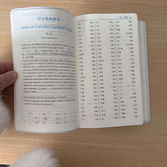 Dicionário língua chinesa