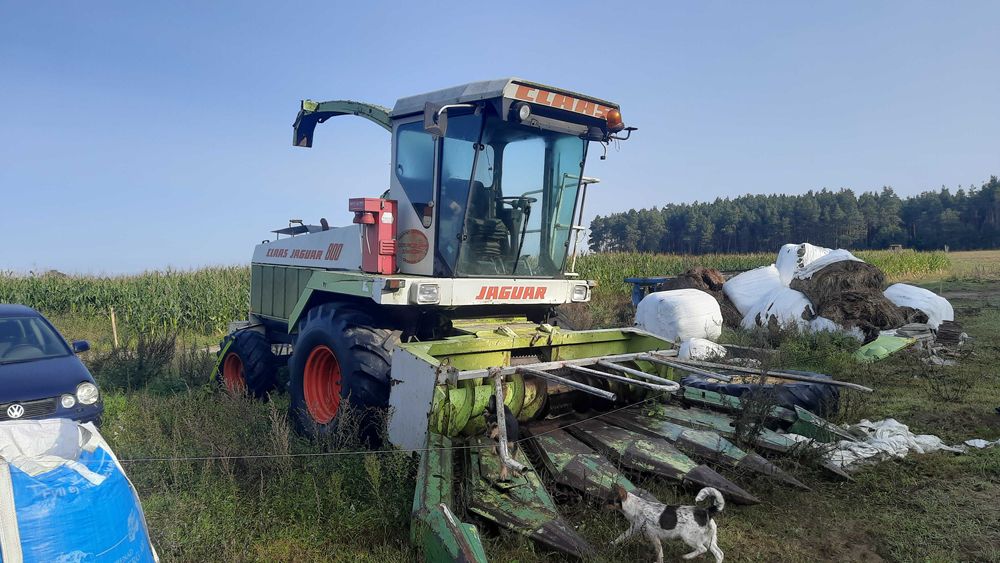 Sieczkarnia Claas Jaguar 800