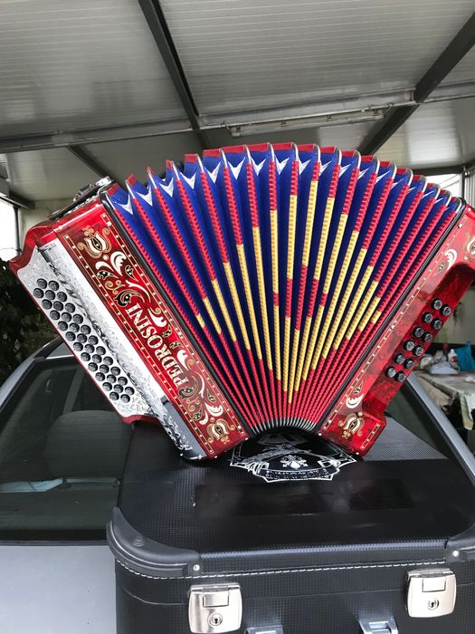 Concertina Pedrosini