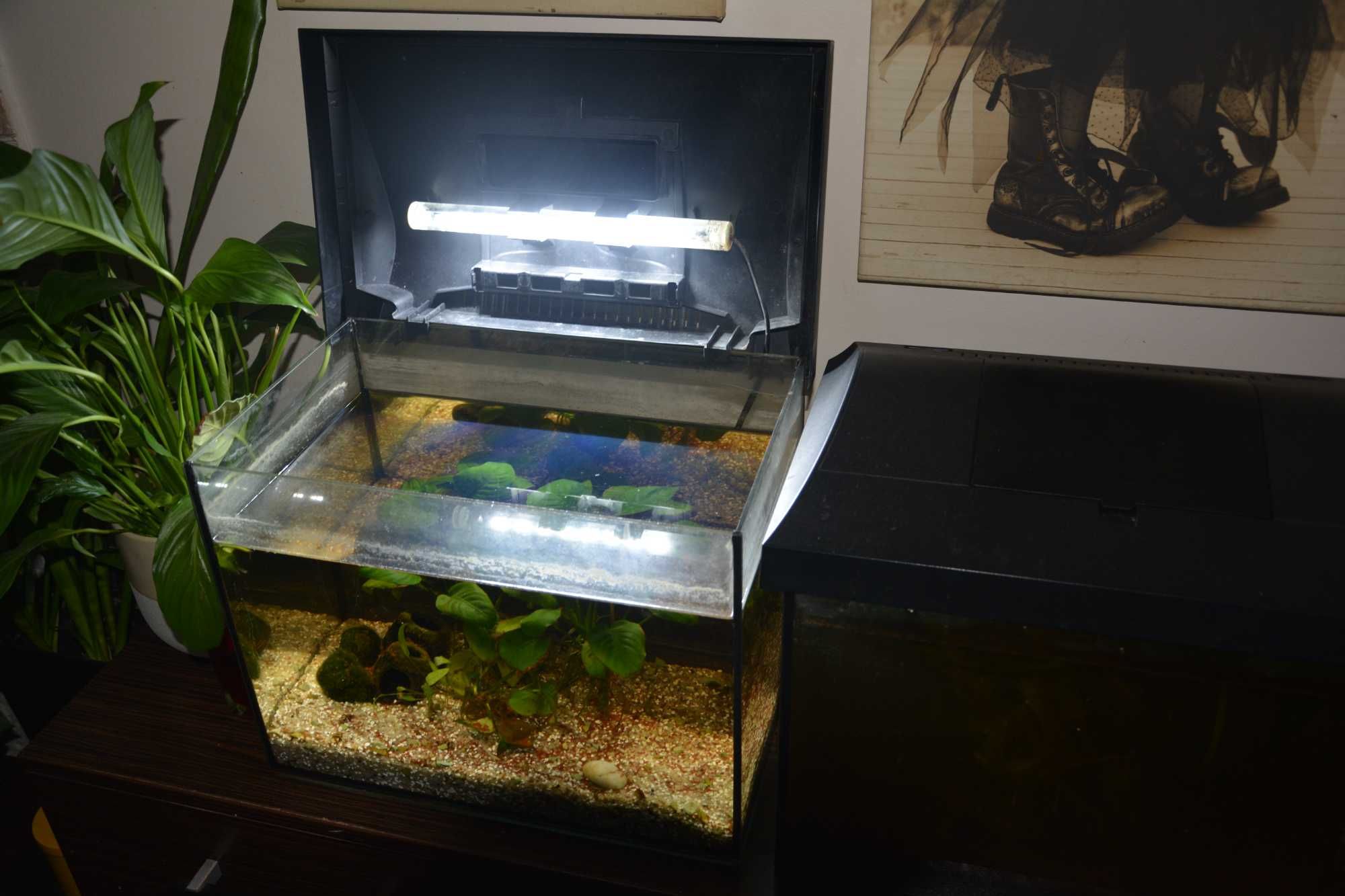 Akwarium z pokrywa, światlem LED i grzałka
