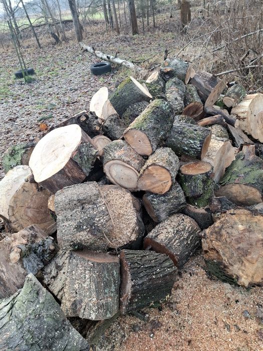 Drewno opałowe-kominkowe