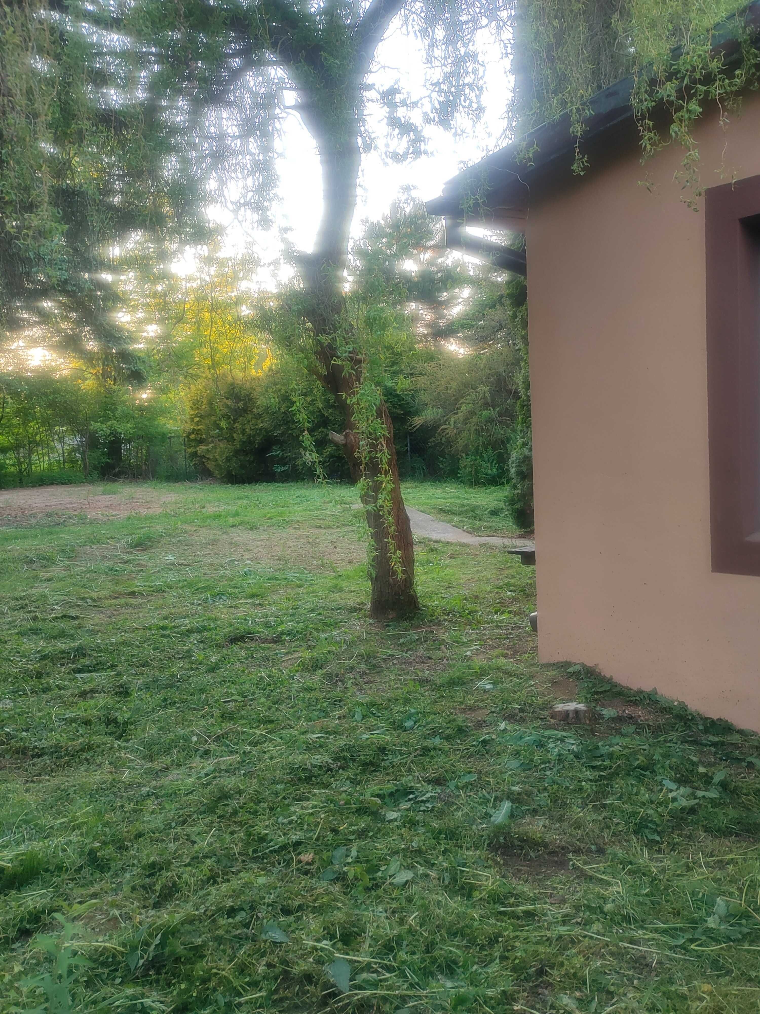 Dom ok 60m2 z podwórkiem, Gm. Czosnów. Możliwość krótkiego najmu.