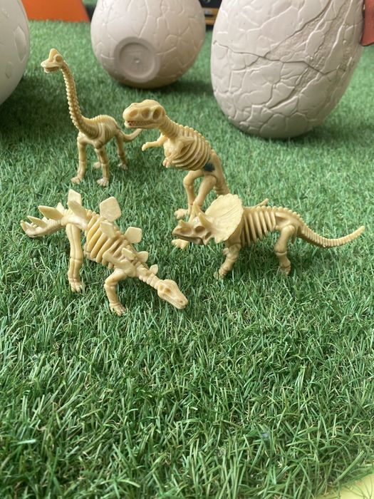 Dinossauros modelos de Esqueletos