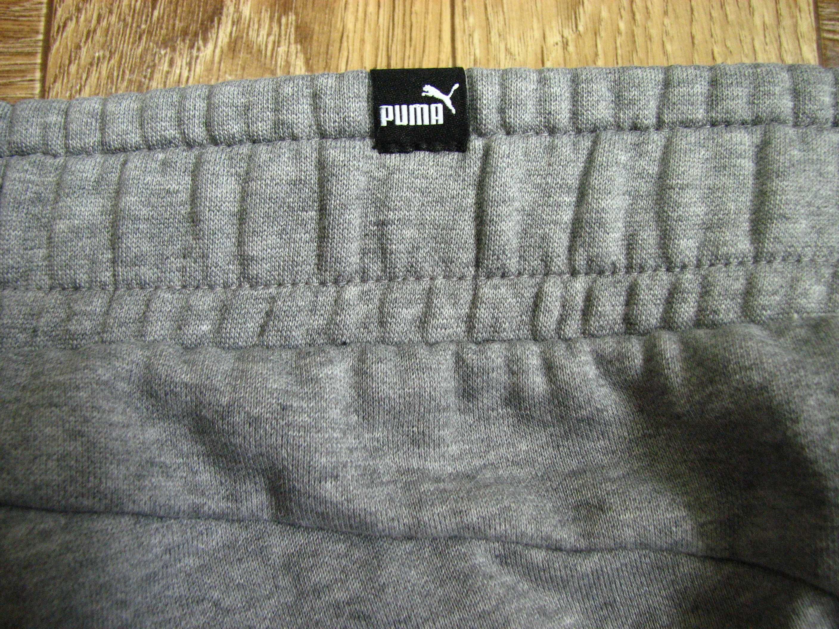 Męskie spodnie dresowe Puma Essentials Slim Fleece