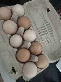 Jajka od szczesliwych kurek ;)
