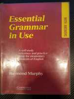 Podręcznik English Grammar in Use