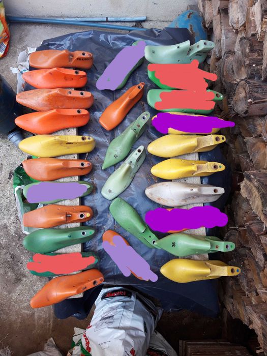 Formas sapatos varias cores e colecções