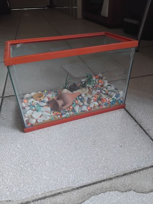 Aquário de vidro para peixes