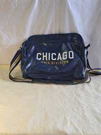 Torba Chicago Univ division