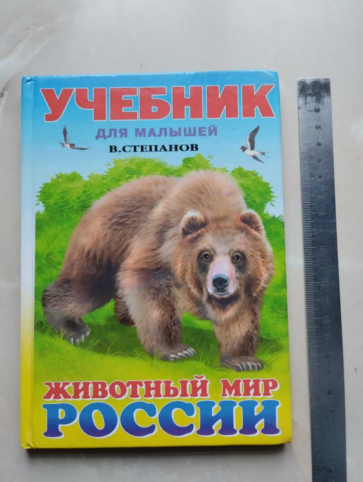 Животный мир России Учебник для малышей 2002 год