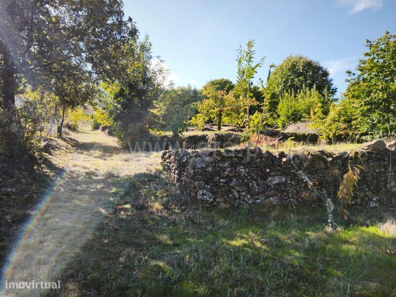 Quinta / Fundão, Alcongosta
