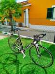 Bicicleta Specialized