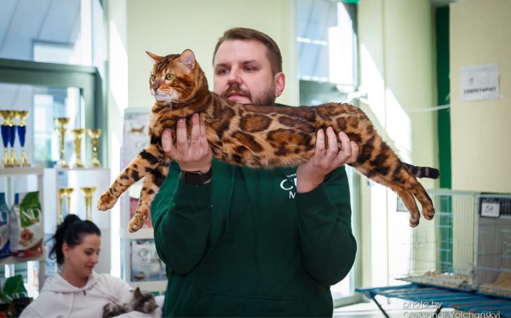 Бенгал, бенгальська дівчинка