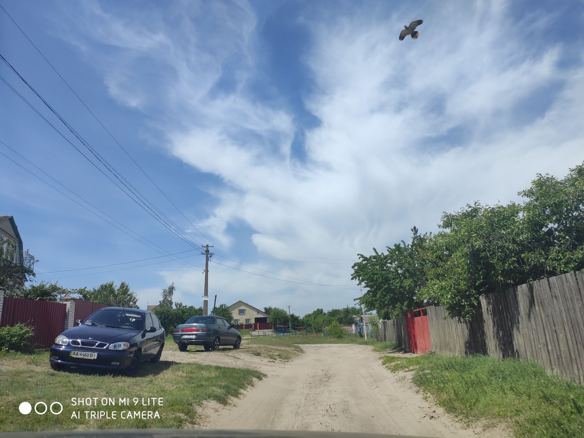 Земля в Василькове, в черте города, на берегу р. Стугна. Под застройку