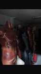 Manequins e Bustos