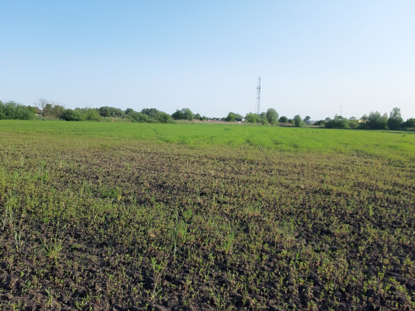 Działki budowlane, Deszczno ul. Wietrzna