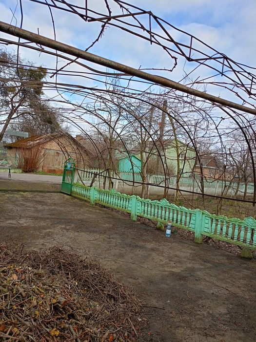 Послуги висоторізом, обрізка дерев та стрижка кущів