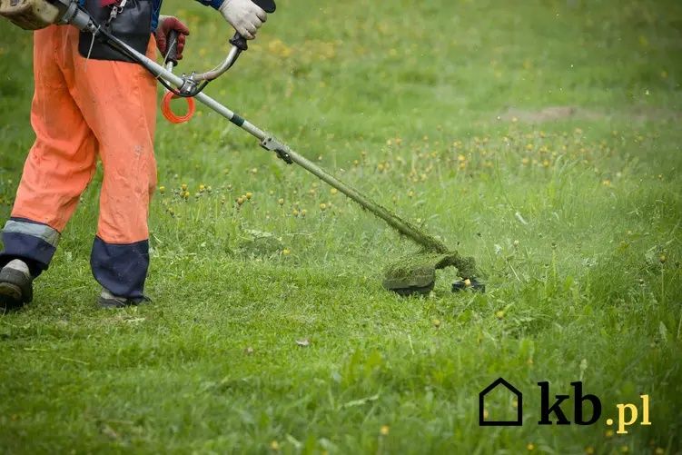 Witam zajmujemy się koszeniem traw koszeniem rowów meroracyjnych wycin