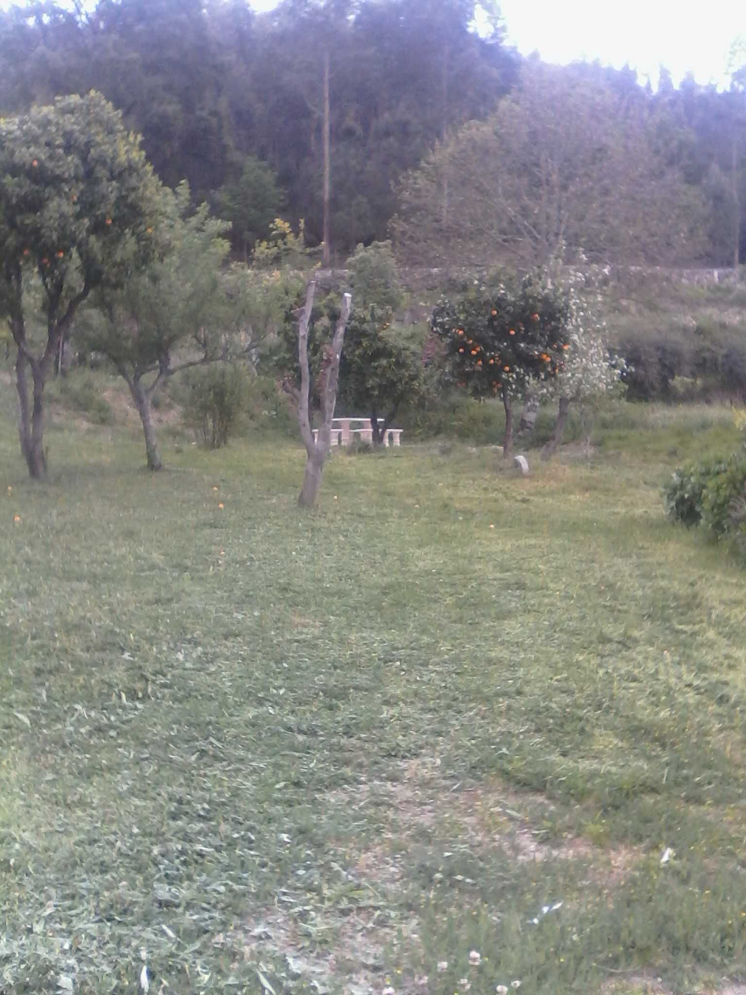 Quinta em Ponte de Lima