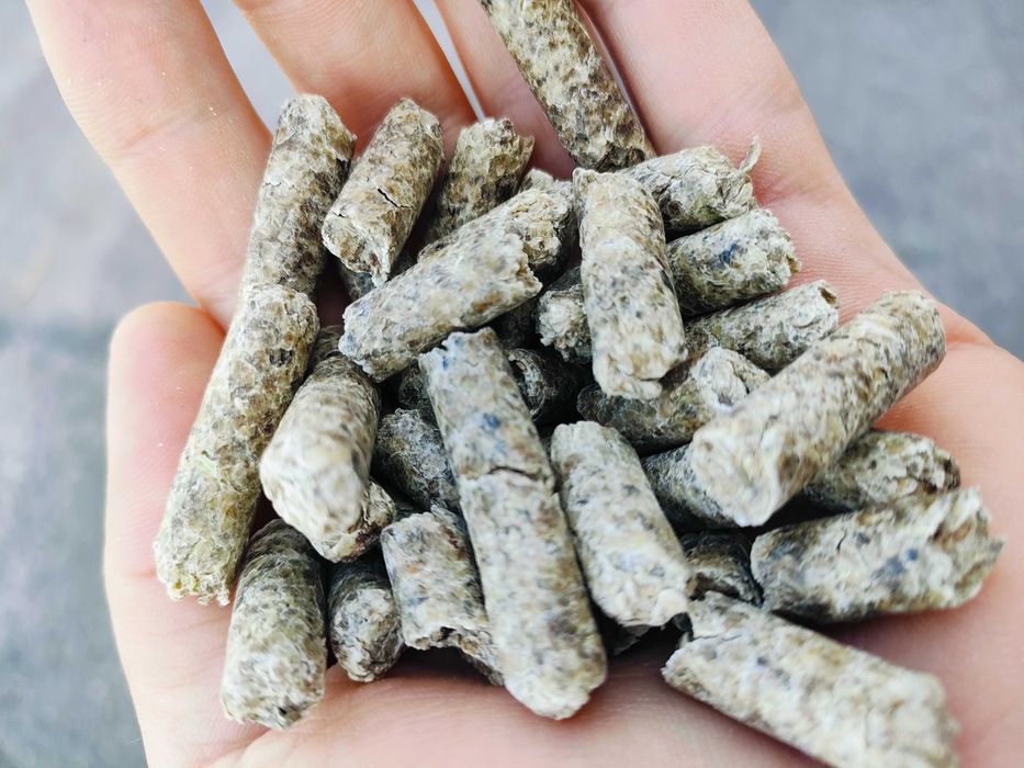 Wysłodki buraczane melasowane, niemelasowane - cena brutto z dostawa