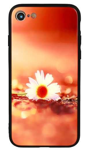 Plecki, Etui Vennus Glass do Apple Iphone X, XS