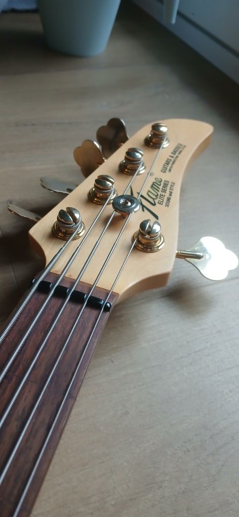 Flame CS 5 elite series bas fretless
