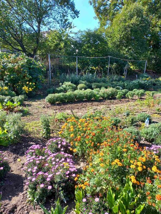 Ділянка  з хатою