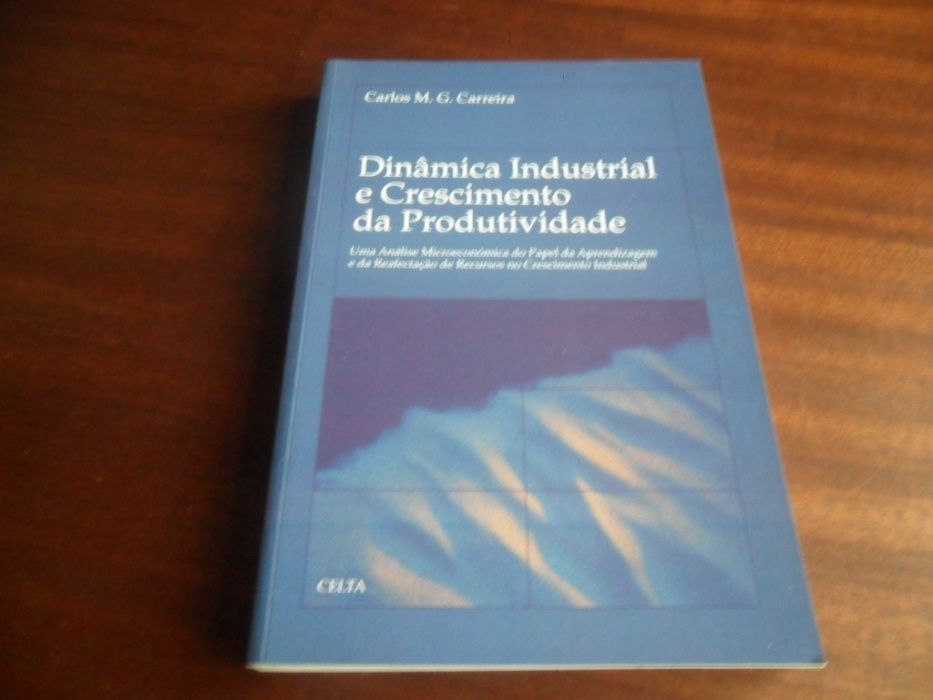 "Dinâmica Industrial e Crescimento da Produtividade" - Carlos Carreira