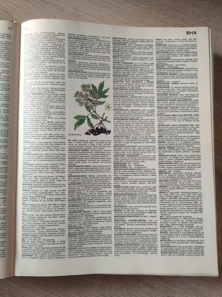 Encyklopedia popularna PWN