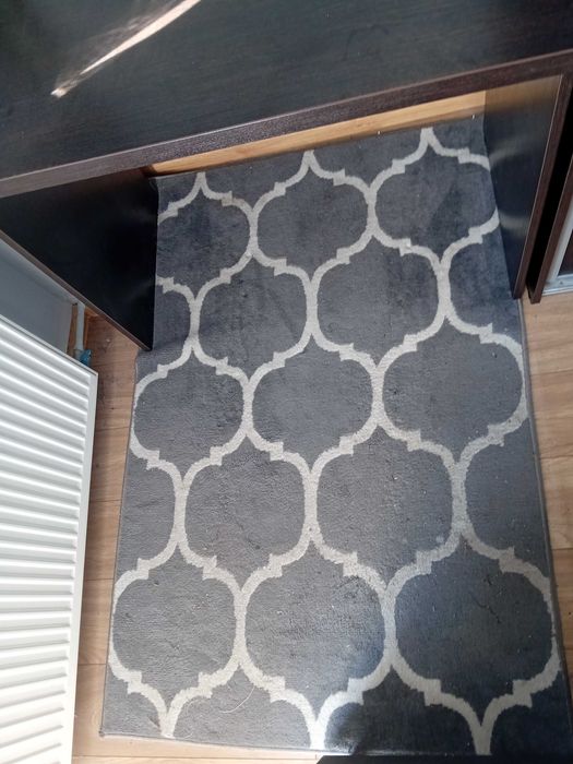 Dywan 150x100 modny