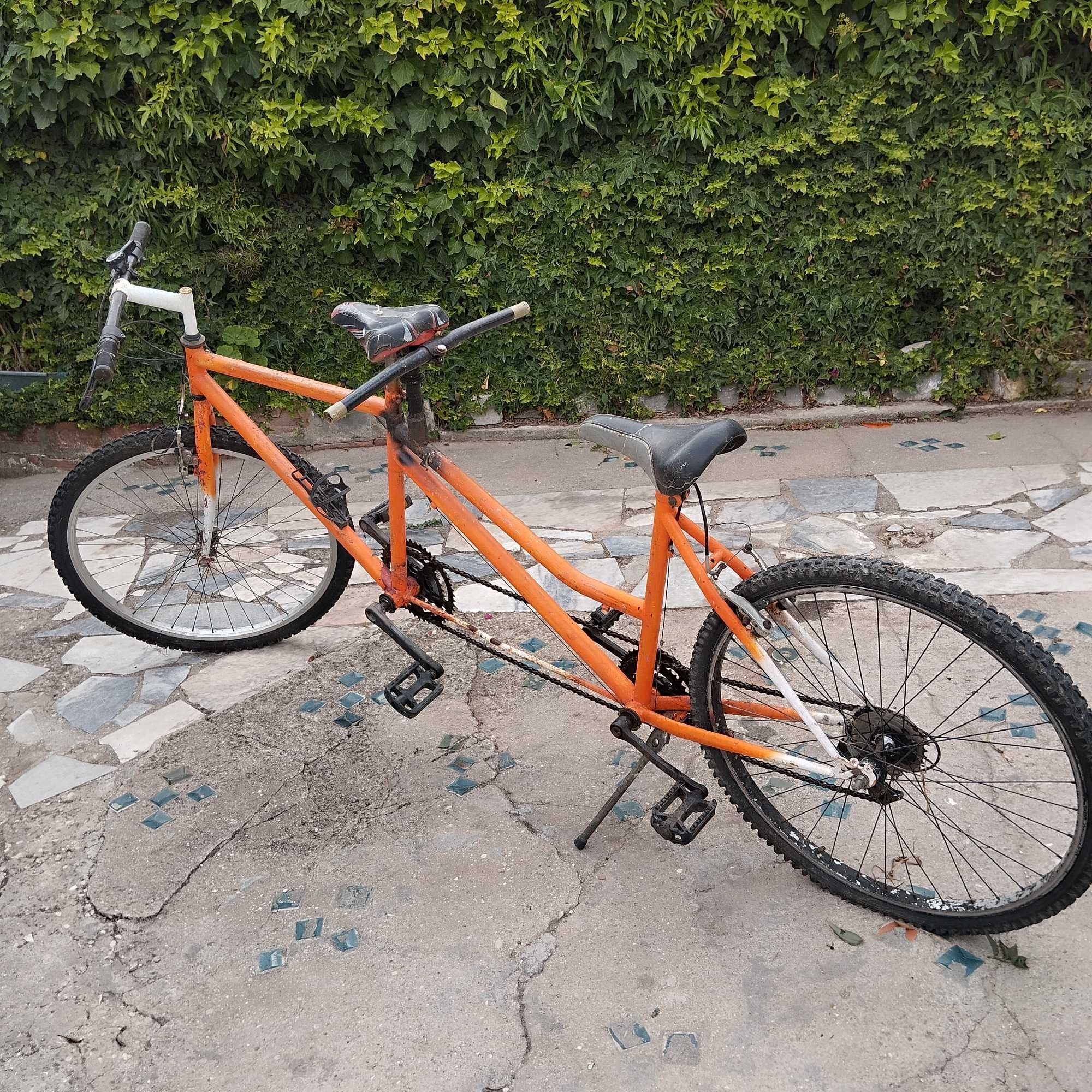 Bicicleta  de 2 lugares