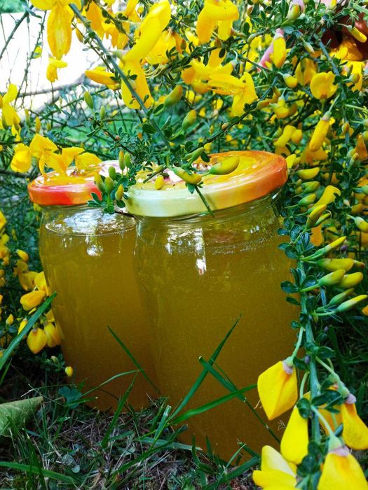 Miód z własnej pasieki