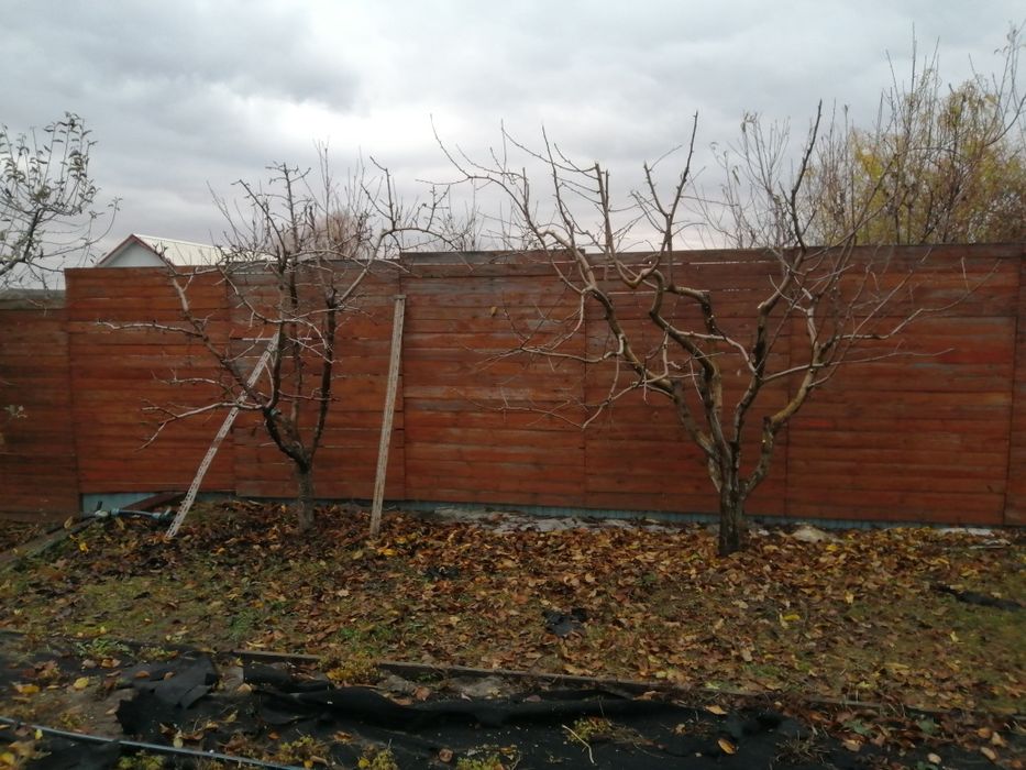 Професійна обрізка та обробка сада, спил дерев розчистка участка