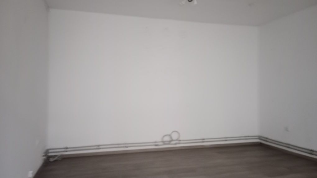 Lokal do wynajęcia