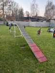Kładka agility przeszkoda do szkolenia psów
