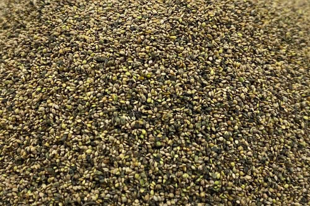 Pokrzywa Nasiona Otarte Gotowe na 100 m2 Urtica Dioica 100 g