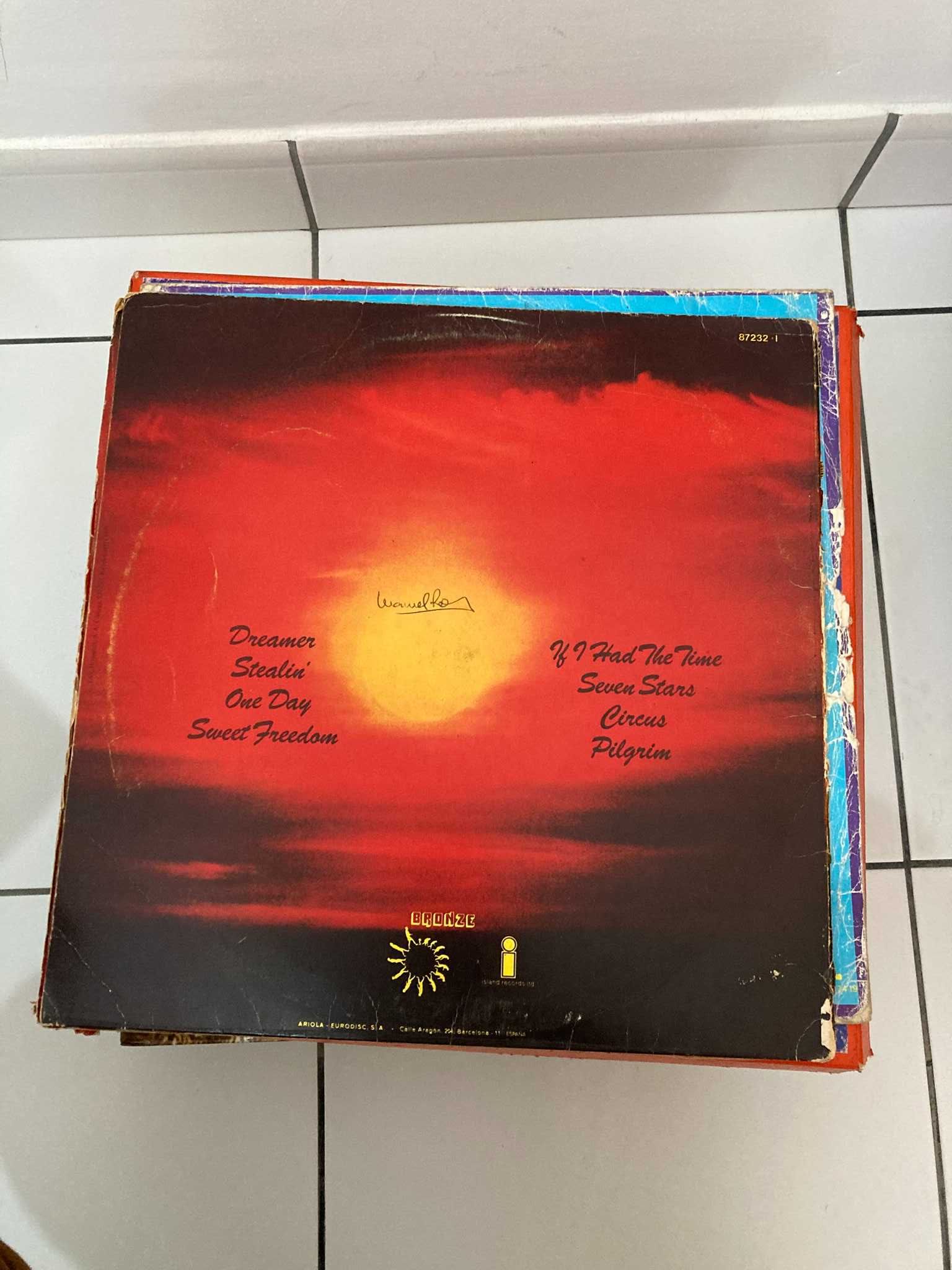 Lote de 50 Discos Vinil LP