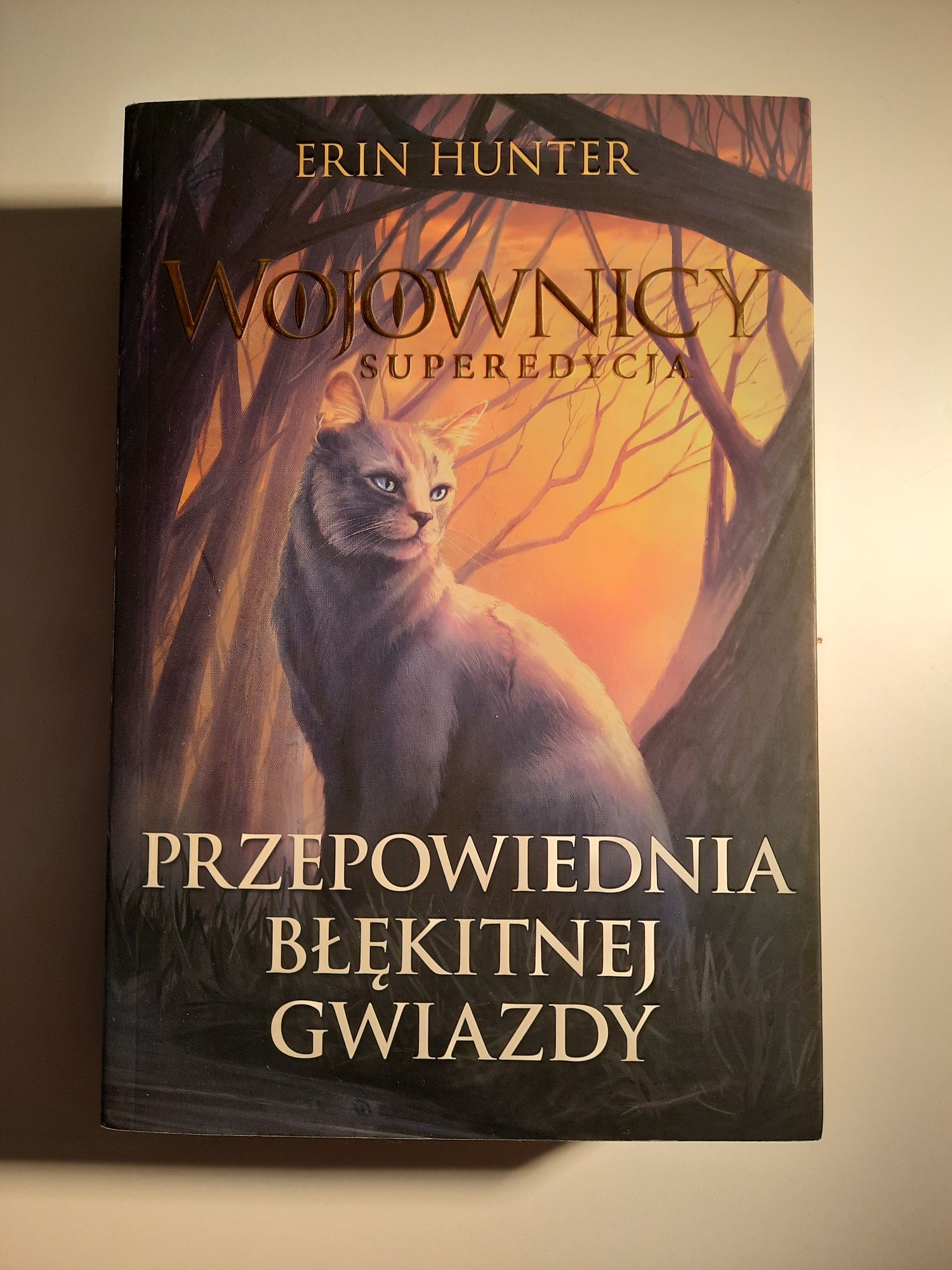 Wojownicy Superedycja Przepowiednia Błękitnej Gwiazdy