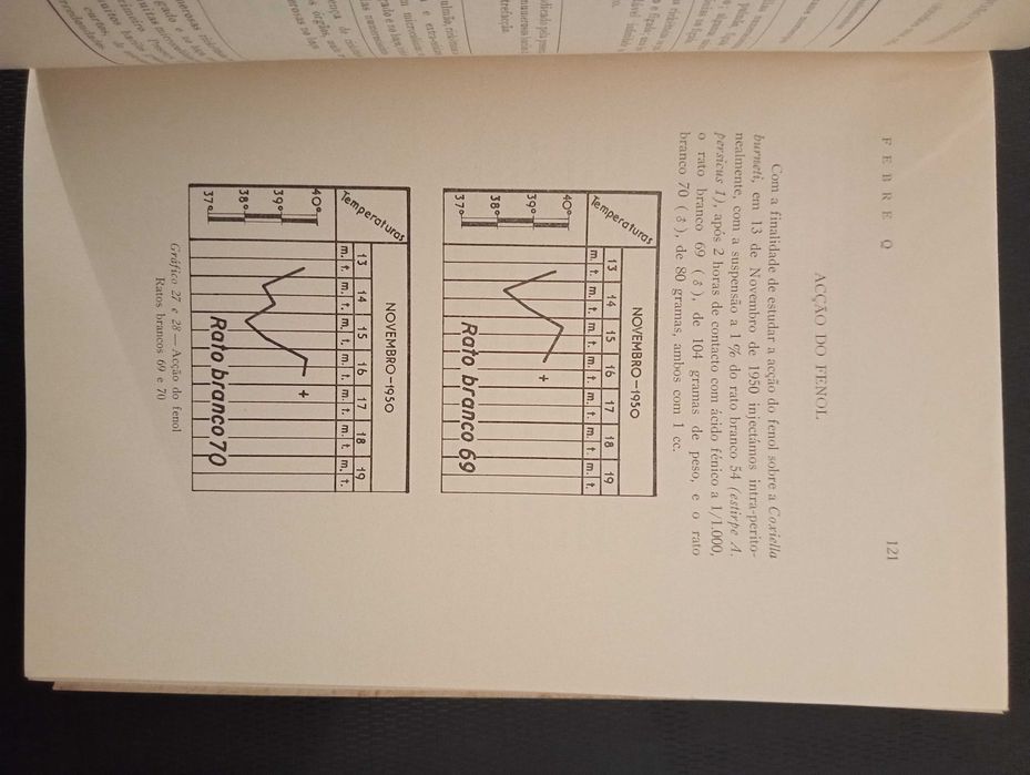 Febre Q Medicina Veterinária Guiné