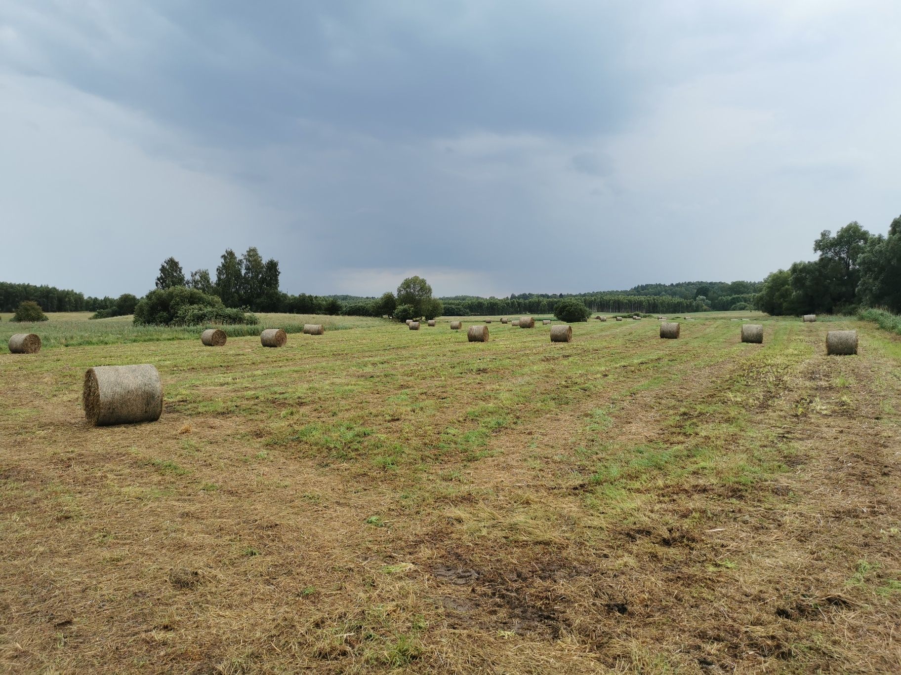 Usługi rolnicze koszenie, belowanie, sprzedaż siana i wiele innych