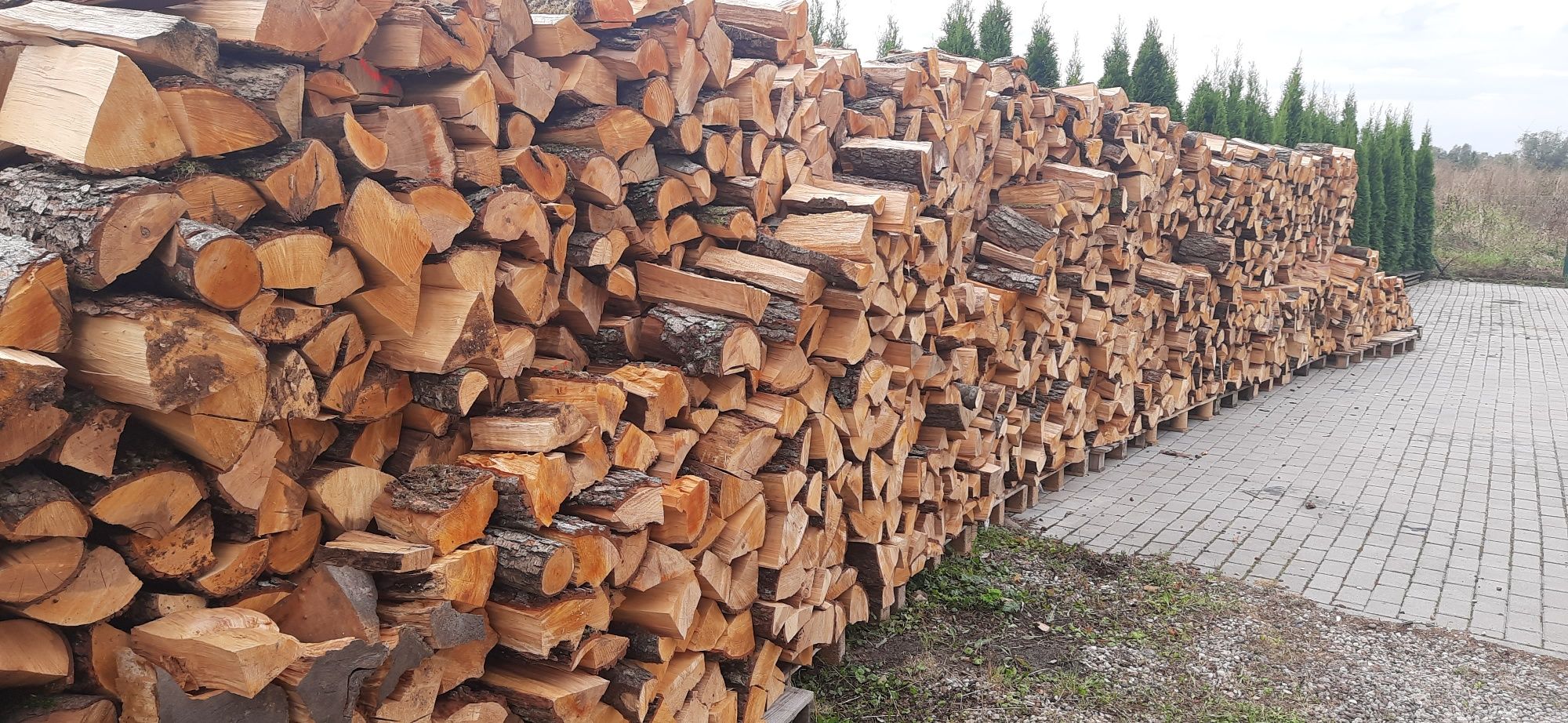 Drewno opałowe i kominkowe