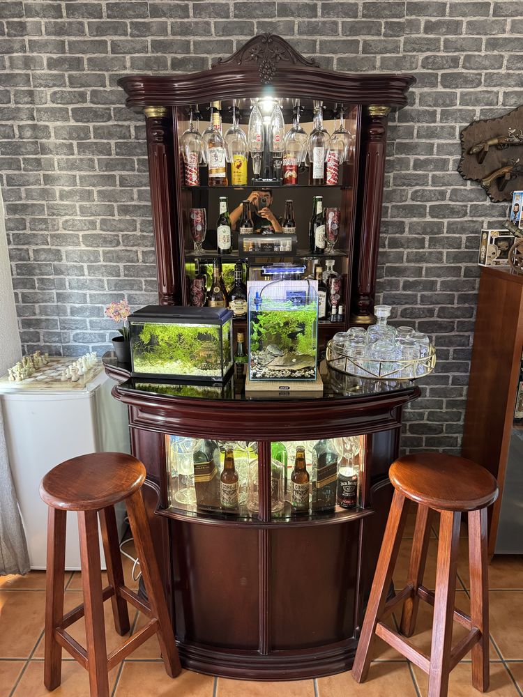 Bar de Sala em Madeira